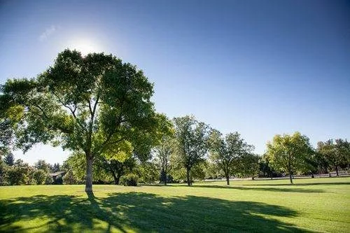 Things to do in Fort Collins: City Park - Dedicated Towing and Recovery